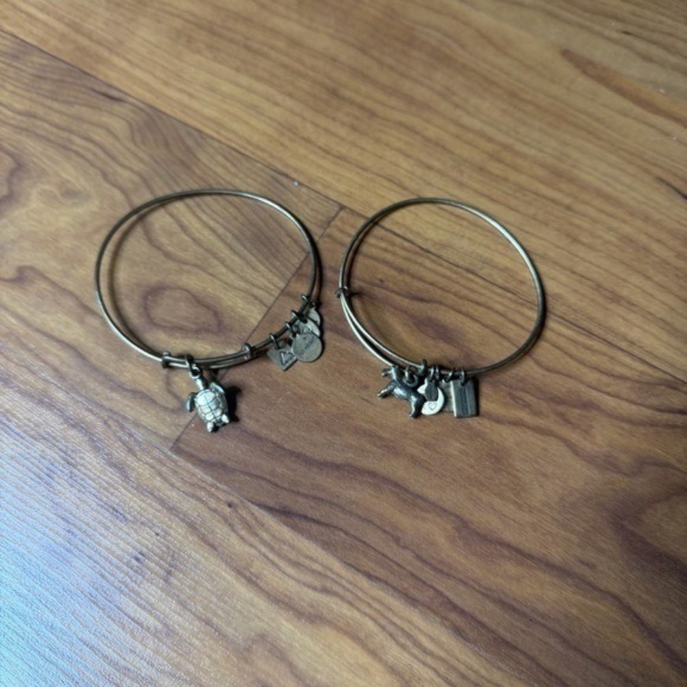 Alex and Ani Charity Bronze Charm Bangle Bracelets Dog Sea Turtle Alex&Ani Lot - Picture 7 of 8
